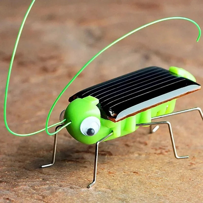 Solar Powered Grasshopper Toy | STEM Science Education Wooden Puzzle Kit