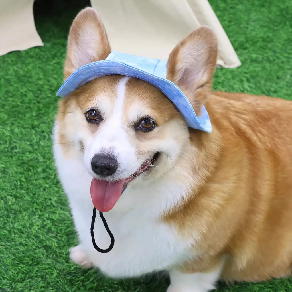 Dog Sun Hat with Ear Holes | Breathable Cotton Bucket Hat for Small Pets