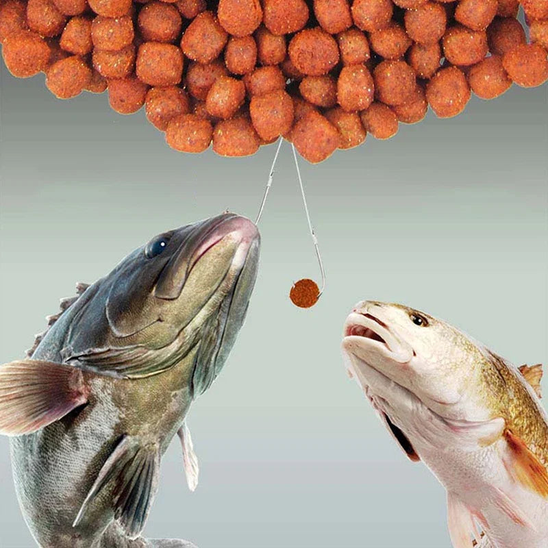 Worm Smell Carp Bait | Real Fishing Food Boilies Beads Attractant for Anglers