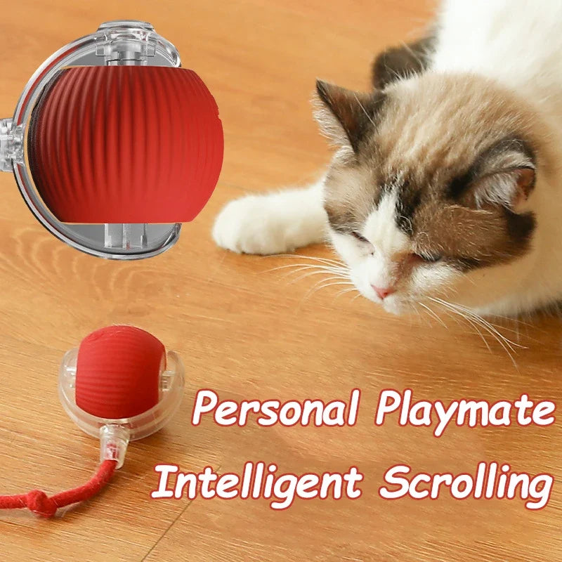 Interactive Cat Ball | Automatic Rolling Toy with Motion Sensors