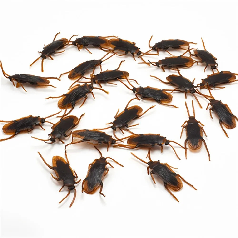 Realistic Fake Cockroaches | Prank Props for Halloween and April Fools