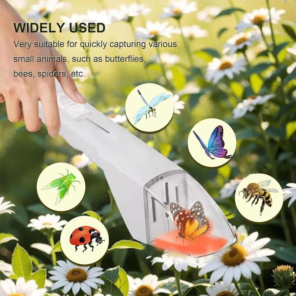 Bug Catcher for Kids | Humane Insect Capture and Observation Tool