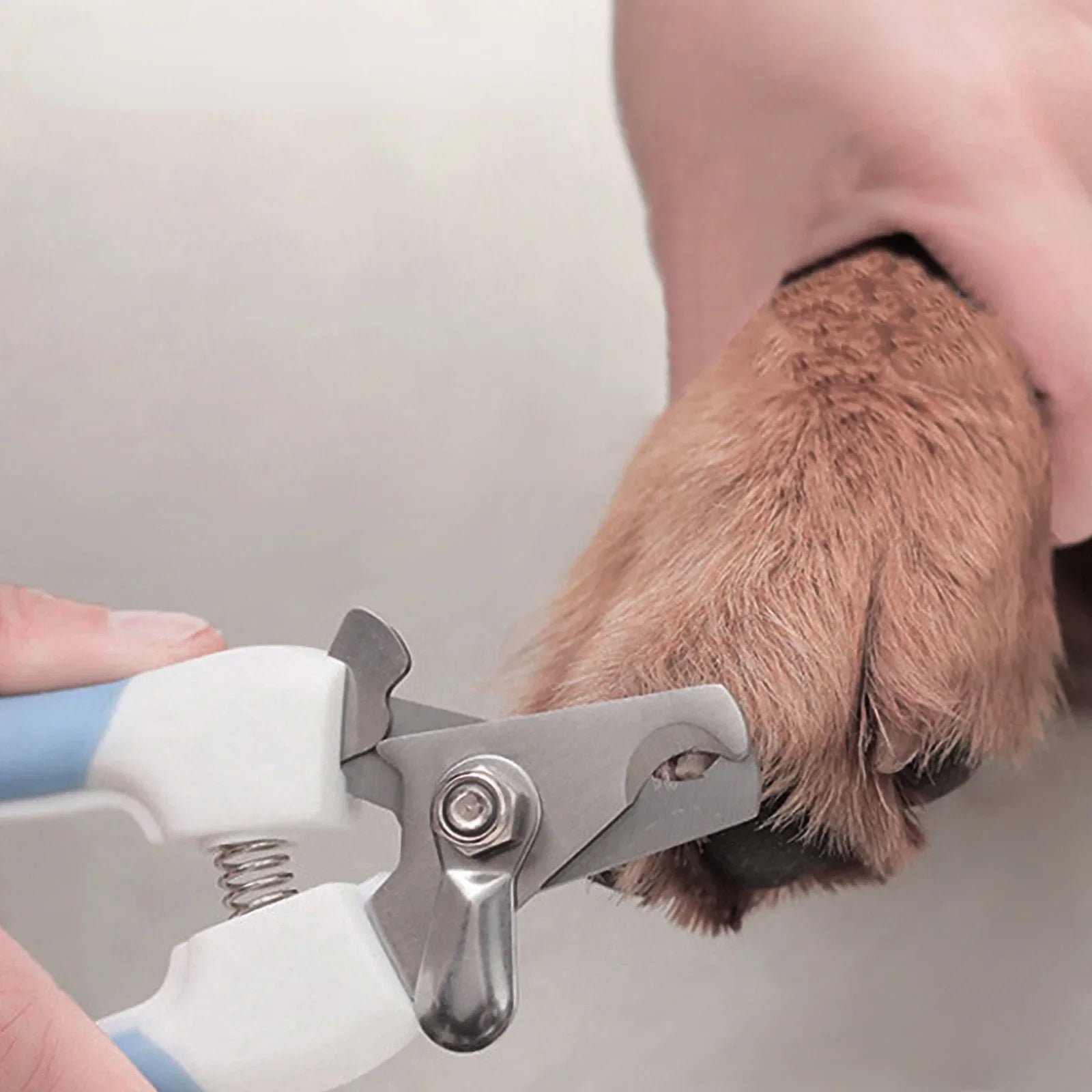Professional Pet Nail Clippers for Dogs and Cats | Stainless Steel Two-Color Design
