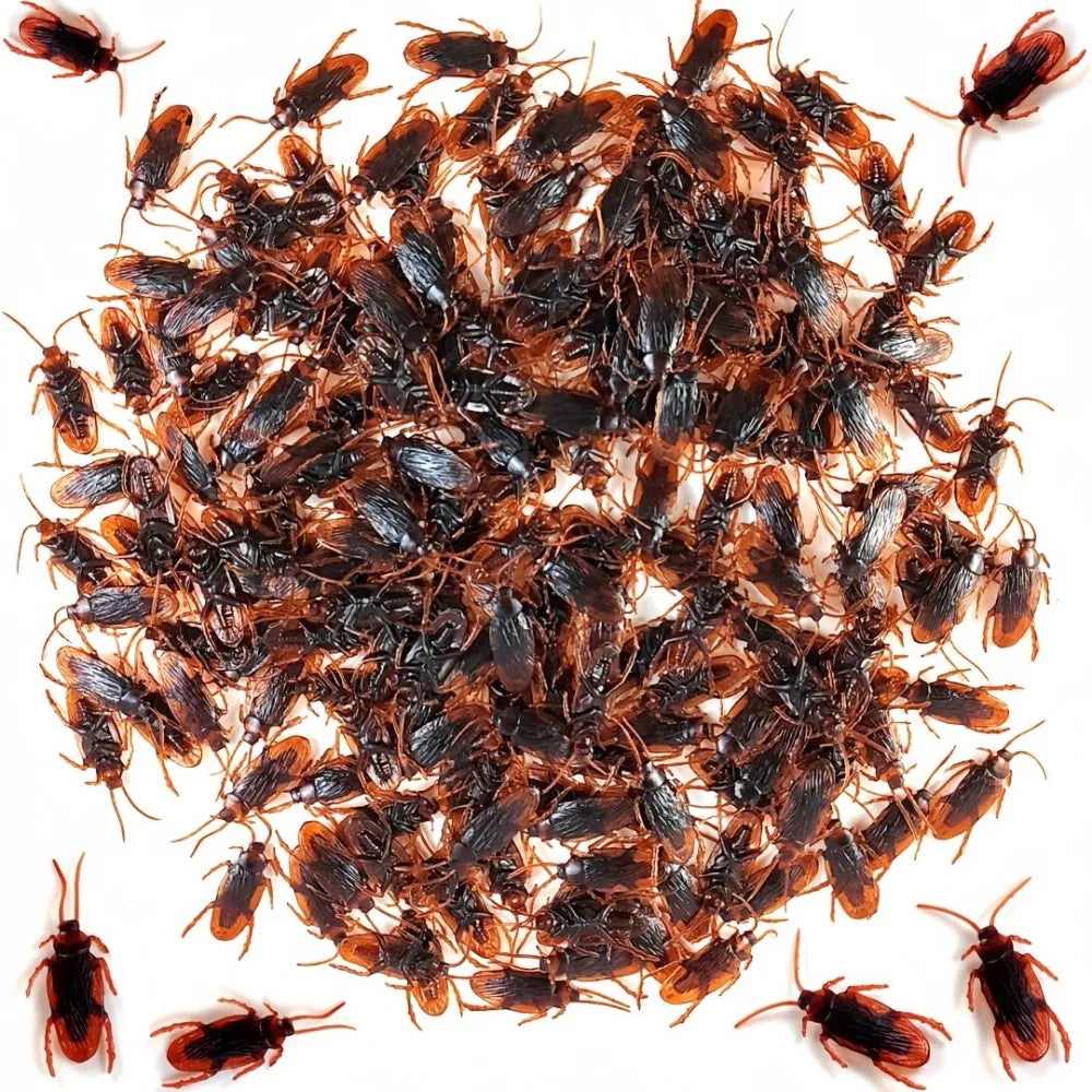Realistic Fake Cockroaches | Prank Props for Halloween and April Fools