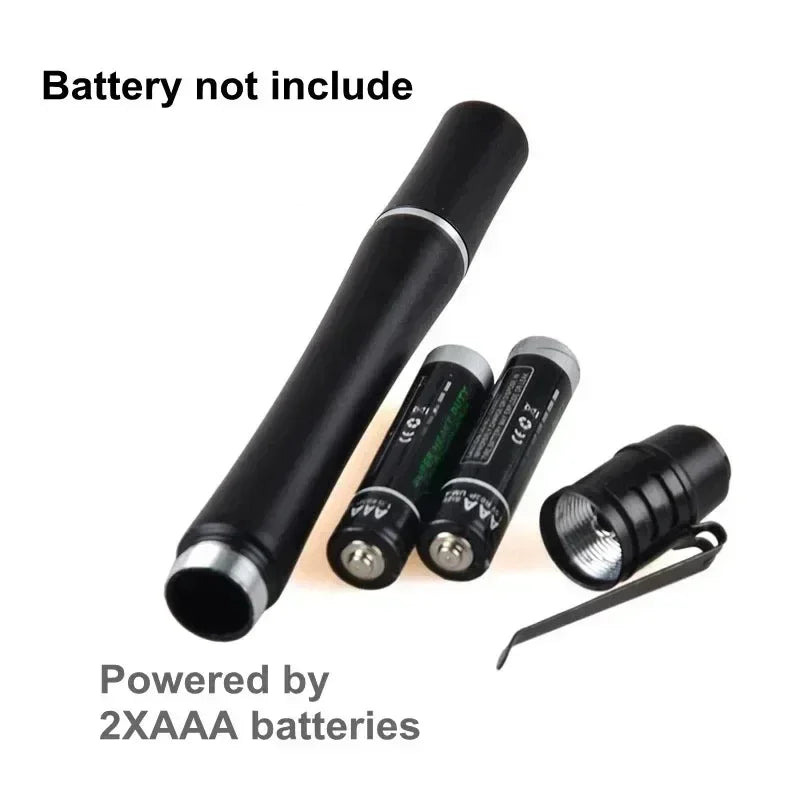 Mini UV Flashlight 365nm 380nm 395nm | Black Light Ultraviolet Lamp Torch