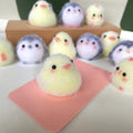 Cute Animal Squeeze Toy Stress Relief Keychain | Kawaii Silicone Pinch Toy