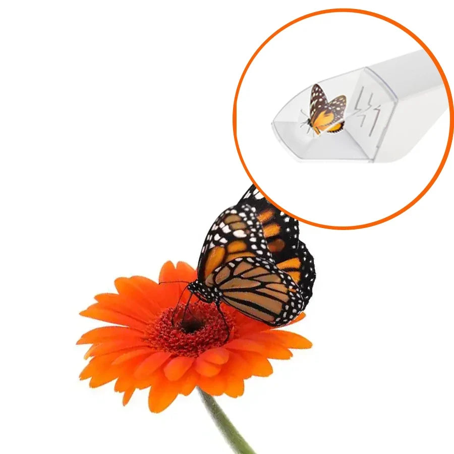 Humane Insect Catcher Viewer | 360° Observation Tool for Kids & Nature Lovers