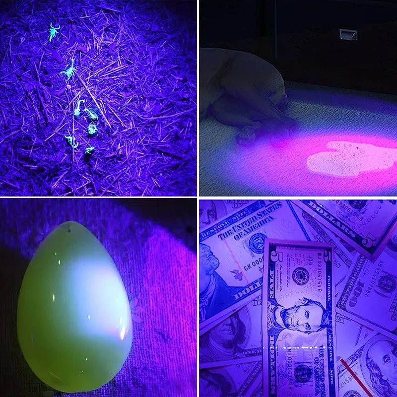 UV LED Flashlight 395nm Blacklight | Portable Pet Urine Detector & Scorpion Finder
