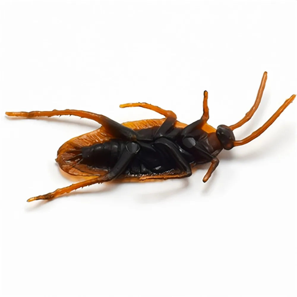 Realistic Fake Cockroaches | Prank Props for Halloween and April Fools