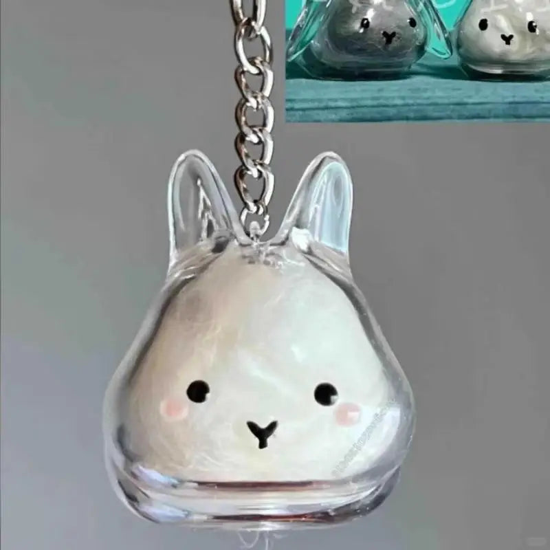 Cute Pet Hair Memorial Keychain | Transparent Storage Box Bag Pendant