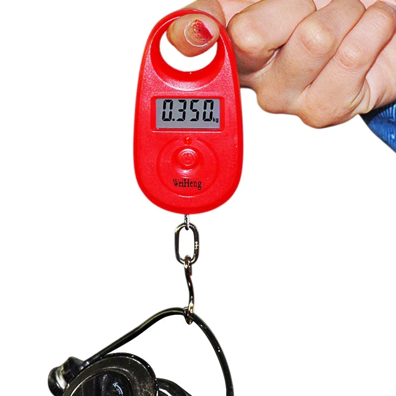 Mini Hanging Digital Scale 25kg | Portable Luggage and Fishing Scale