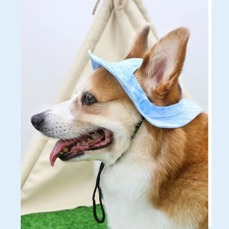 Dog Sun Hat with Ear Holes | Breathable Cotton Bucket Hat for Small Pets