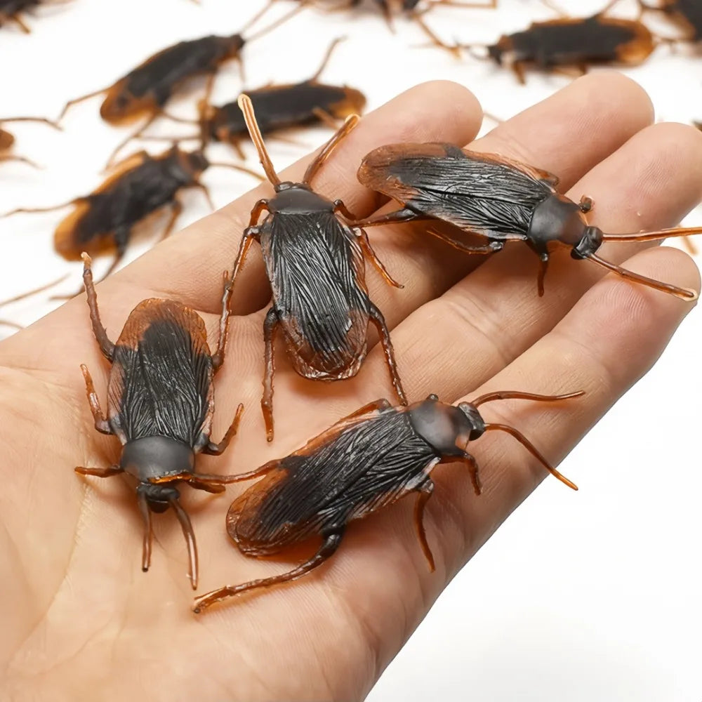 Realistic Fake Cockroaches | Prank Props for Halloween and April Fools