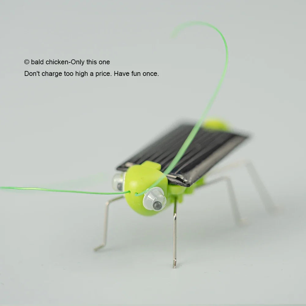 Solar Powered Grasshopper Toy | STEM Science Education Wooden Puzzle Kit