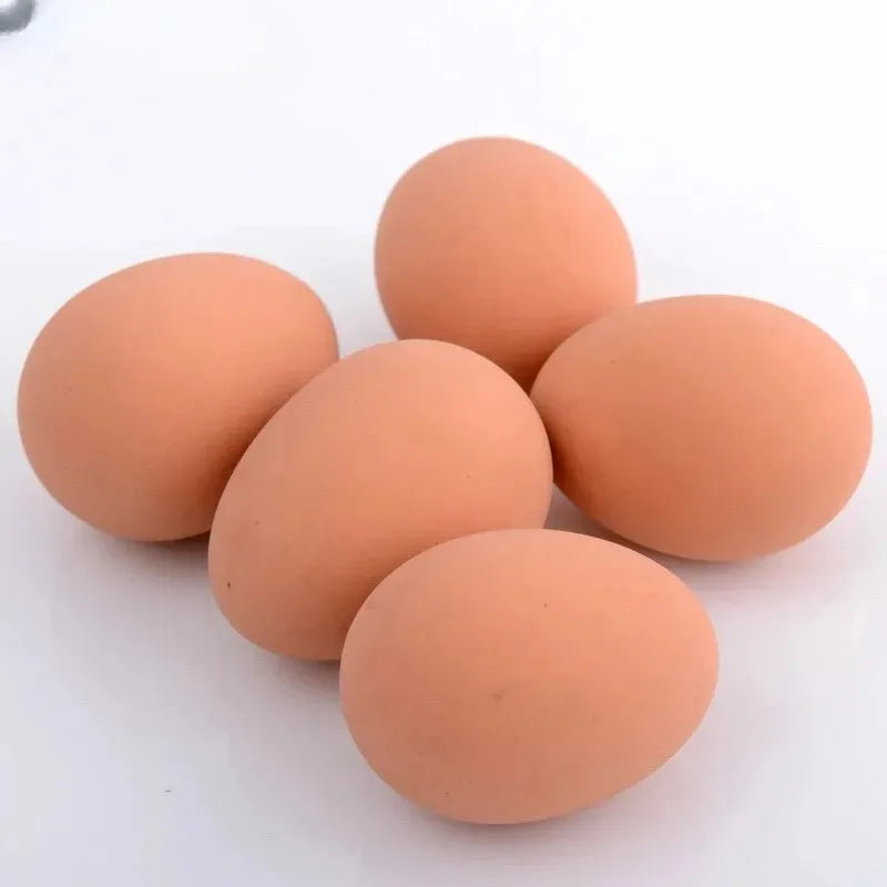 Novelty Bouncy Eggs | Realistic Fake Rubber Prank Toy