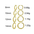 G23 Titanium Hoop Earrings | Hypoallergenic Piercing Jewelry for Men Women