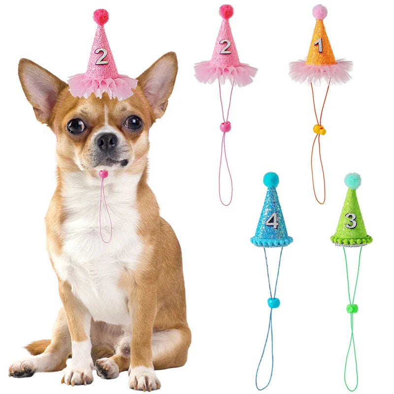 Funny Pet Party Hat | Dog Cat Birthday Cap for Small Pets