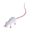 Lifelike Fake Mouse Prop | Realistic Prank Toy for Halloween and Gags