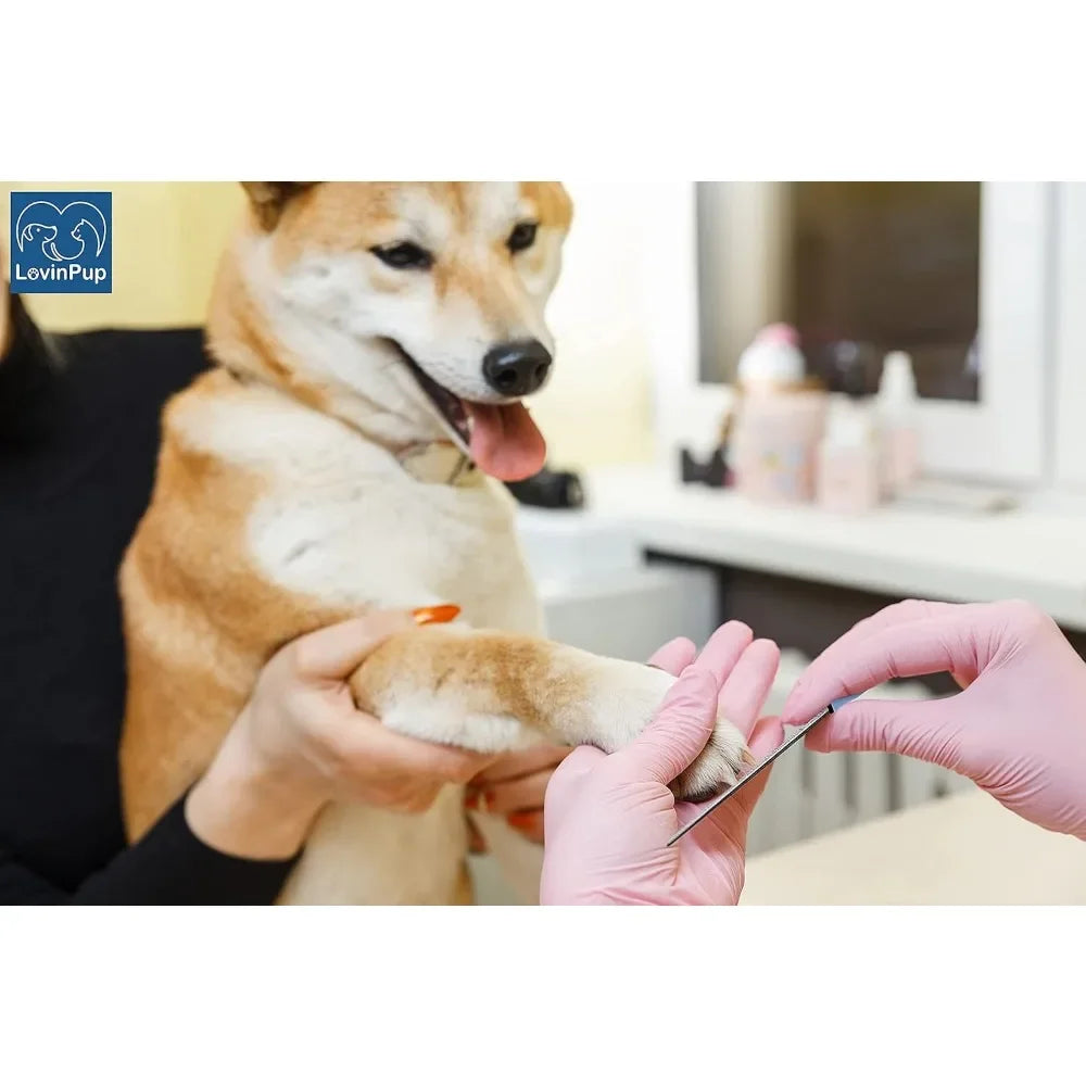 Pet Nail Grinder | Smooth and Safe Nail Filer for Dogs and Cats
