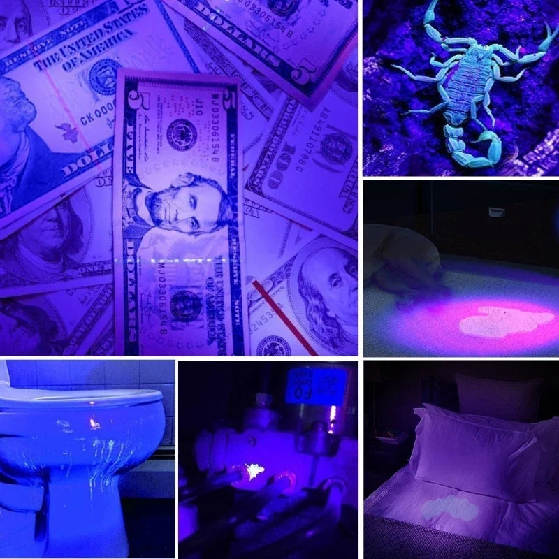 395nm UV Black Light Flashlight | Pet Urine Detector for Dog Stains and Bed Bugs