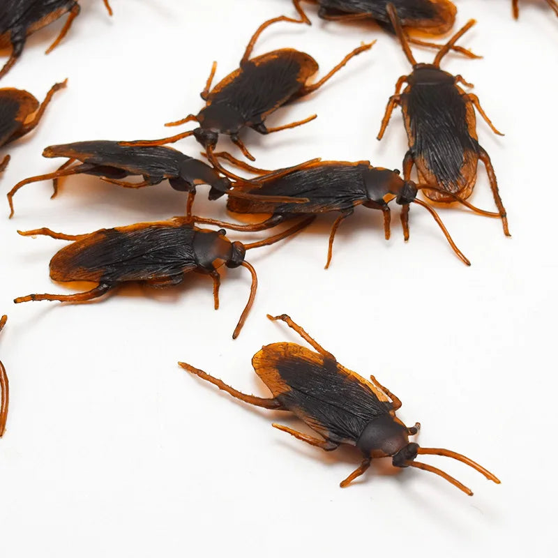 Realistic Rubber Cockroach Prank Props | 5-50 Pieces Set