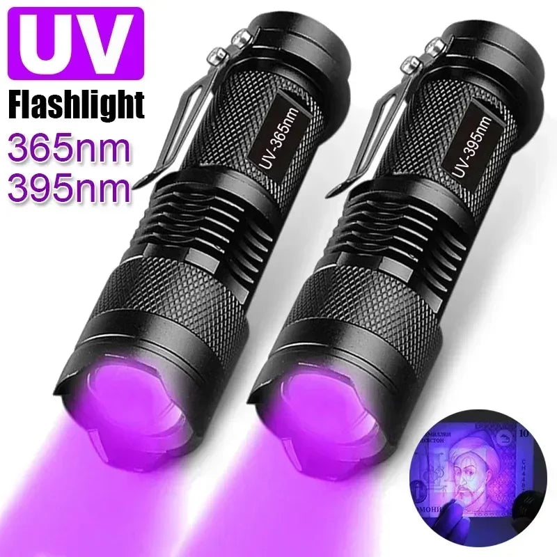 UV Flashlight LED Ultraviolet Torch | Zoomable Mini Inspection Light for Pet Urine and Stains