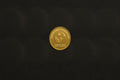 Earth Foundation contributing coin