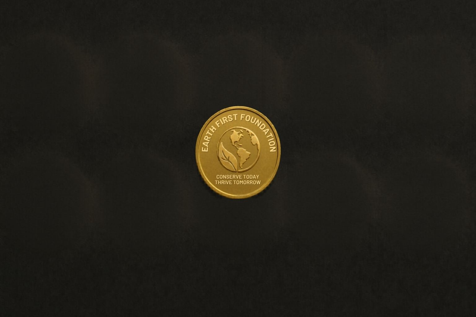 Earth Foundation contributing coin