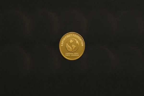 Earth Foundation