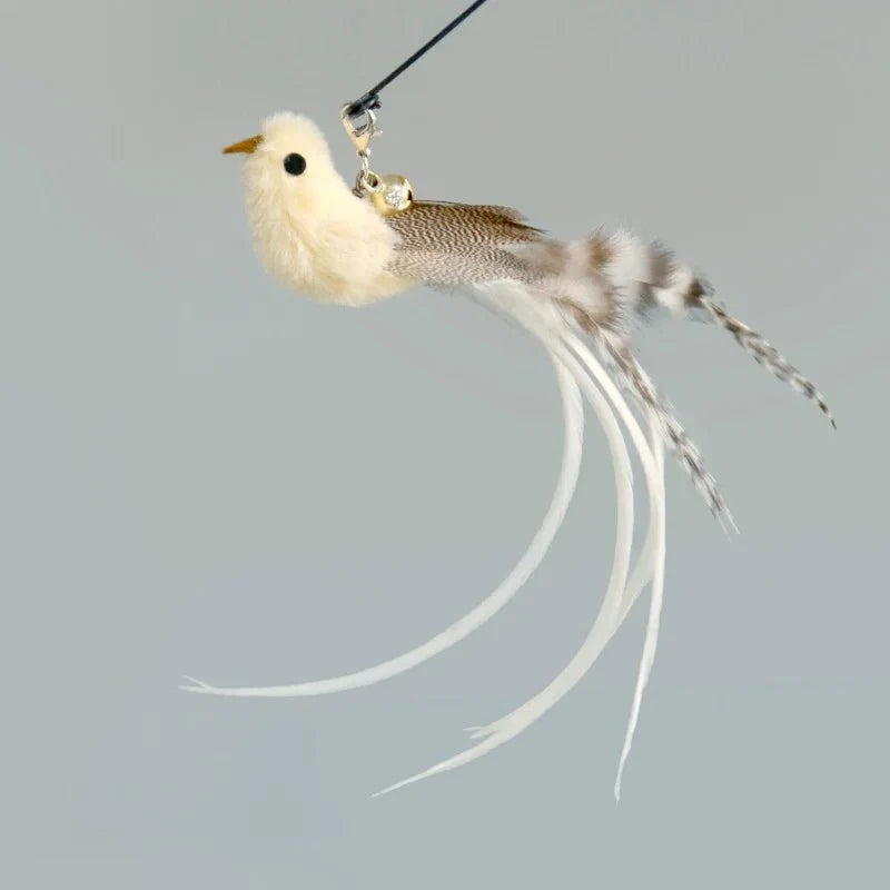 Hands-Free Feather Cat Wand with Bell | Suction Cup Interactive Toy for Hunting and Exercise
