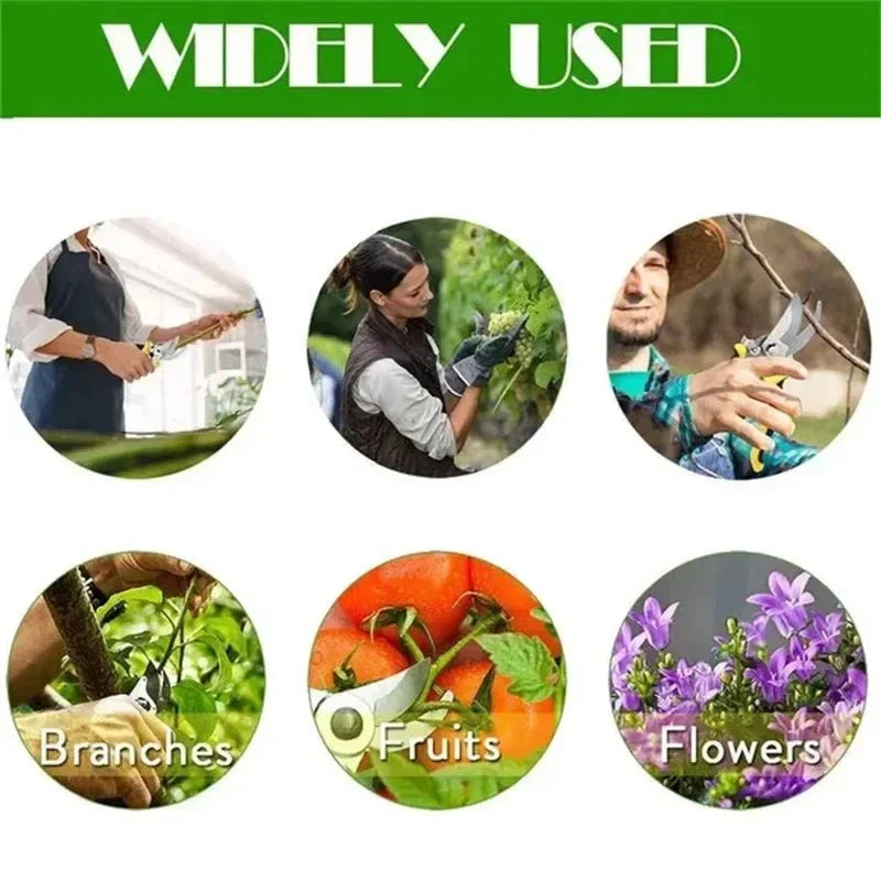Horticultural Scissors | Bird Beak Pruning Shears for Garden and Fruit Cutting