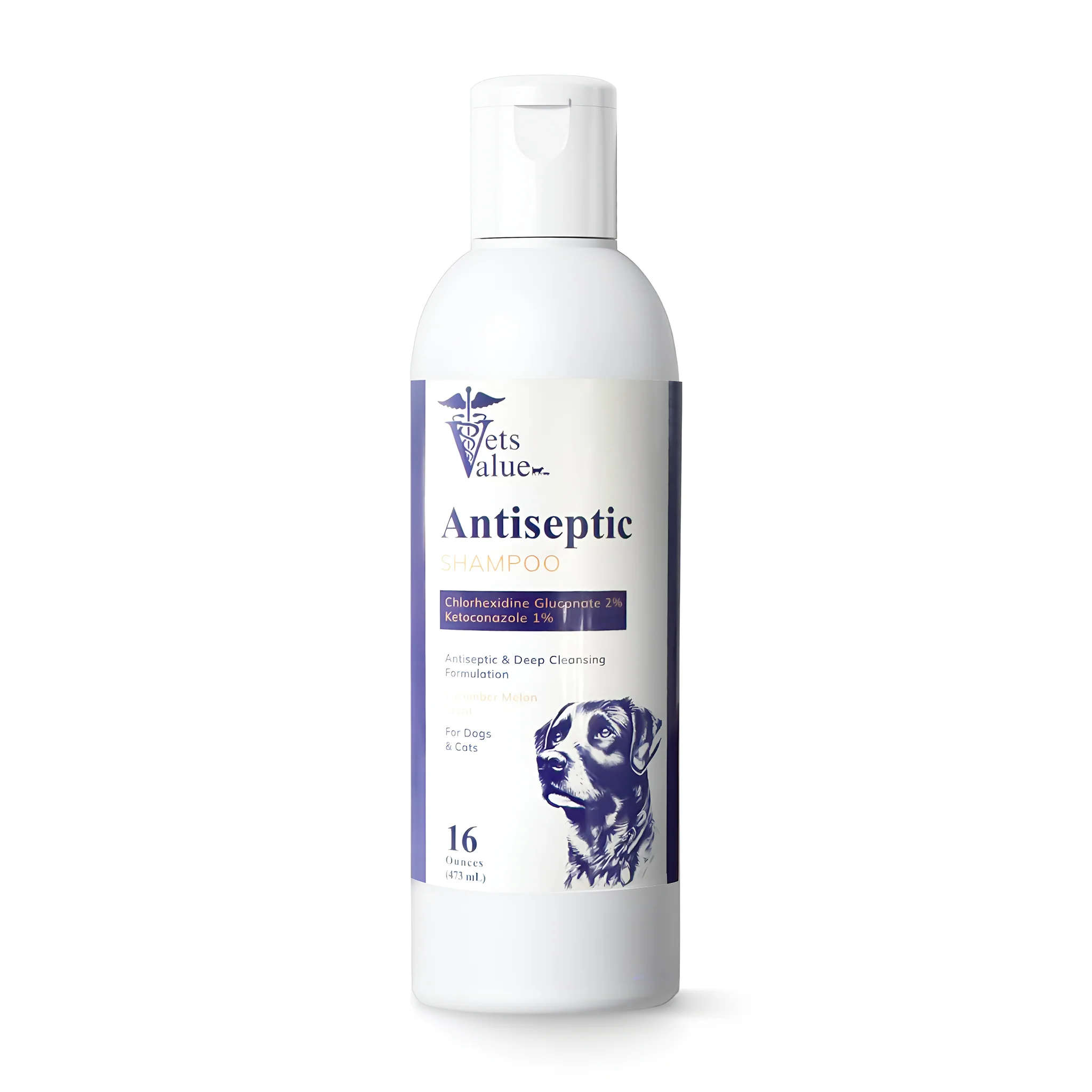 Ketoconazole / Chlorhexidine Medicated Dog Shampoo