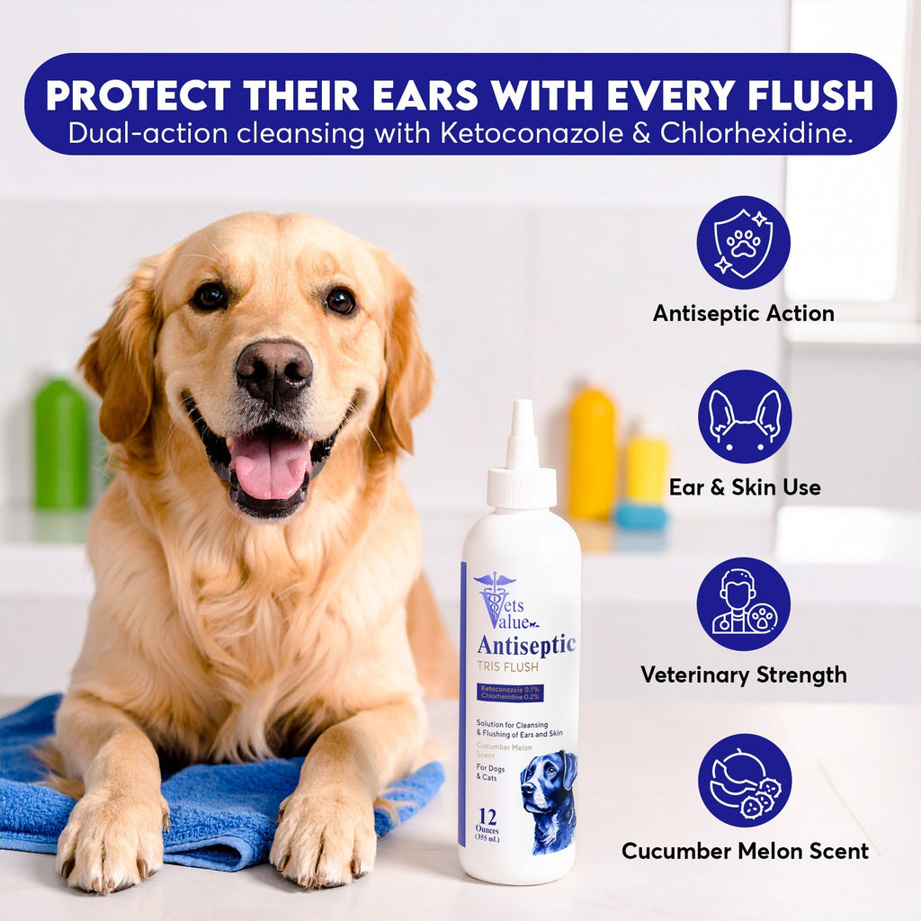 Veterinary Ear Flush for Dogs and Cats 8oz- Clear Therapy Cleaner Alcohol-Free, Itch-Relief Yeast Infections, Supports Healthy Canals - Optimized Solution Dog Washing, White/Clear