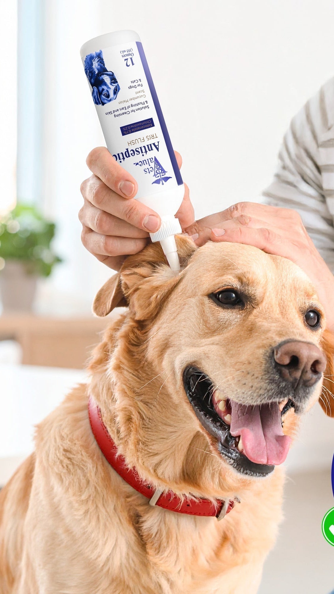 Veterinary Ear Flush for Dogs and Cats 8oz- Clear Therapy Cleaner Alcohol-Free, Itch-Relief Yeast Infections, Supports Healthy Canals - Optimized Solution Dog Washing, White/Clear