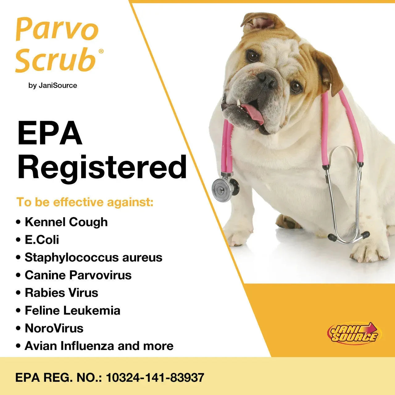 ParvoScrub II – EPA-Registered Super Concentrate Disinfectant for Kennels & Veterinary Use (1 Gal)