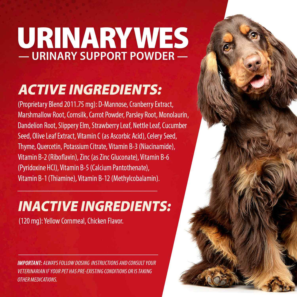 Jeffers UrinaryWes Urinary Support Supplement Powder for Dogs & Cats