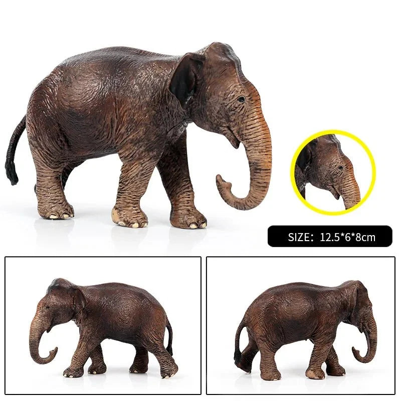 African Elephant Model | Realistic PVC Wildlife Figurine