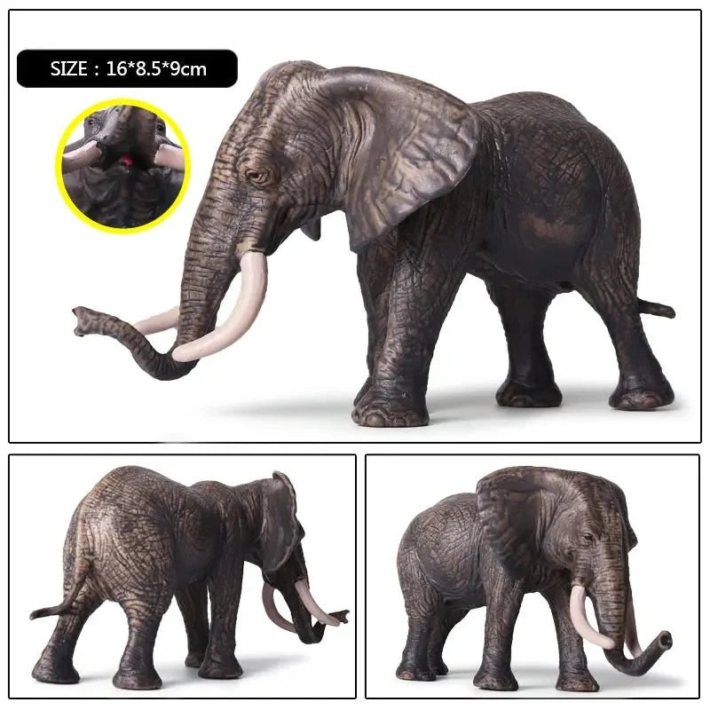 African Elephant Model | Realistic PVC Wildlife Figurine