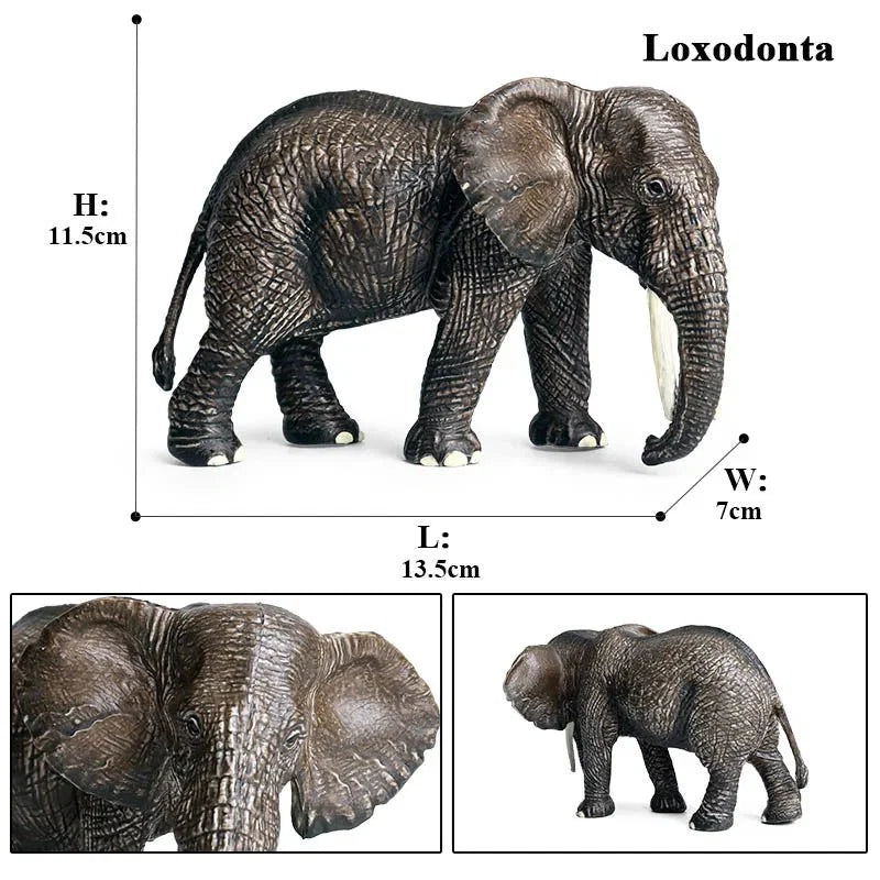 African Elephant Model | Realistic PVC Wildlife Figurine