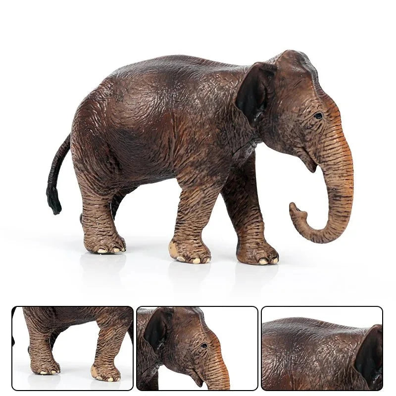 African Elephant Model | Realistic PVC Wildlife Figurine