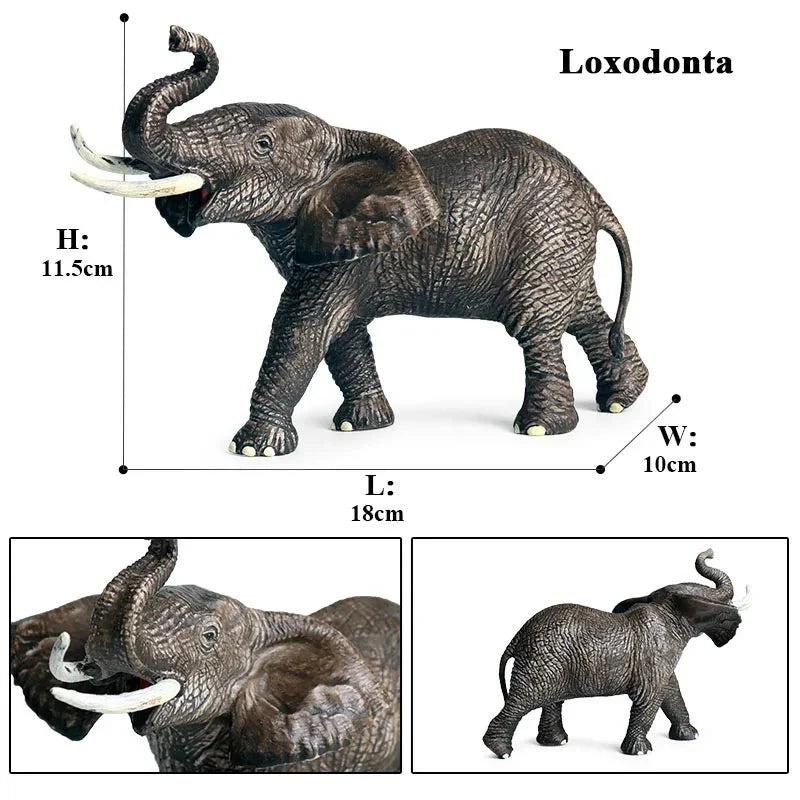 African Elephant Model | Realistic PVC Wildlife Figurine