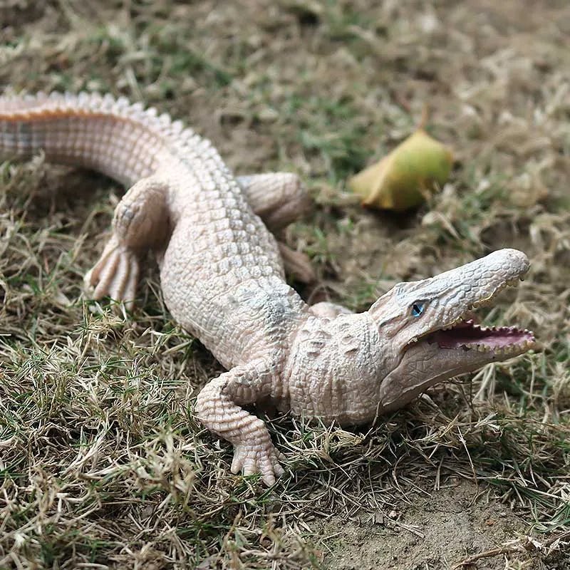 Sarcosuchus Crocodile Action Figure | Hand-Painted Wild Animal Model