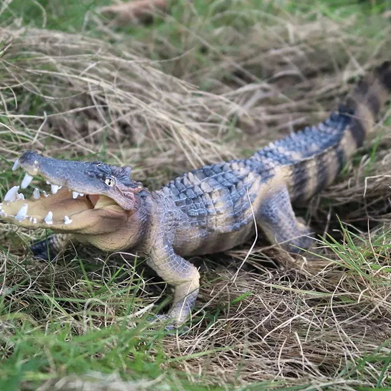 Sarcosuchus Crocodile Action Figure | Hand-Painted Wild Animal Model