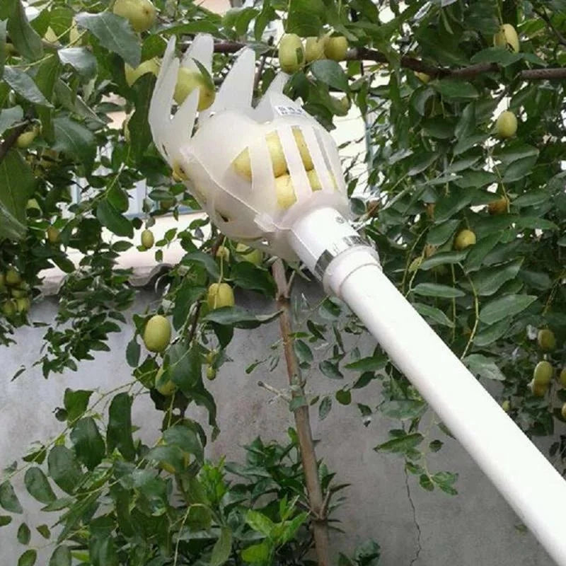Plastic Fruit Picker Tool | Garden Harvesting Catcher Head for Trees and Orchards