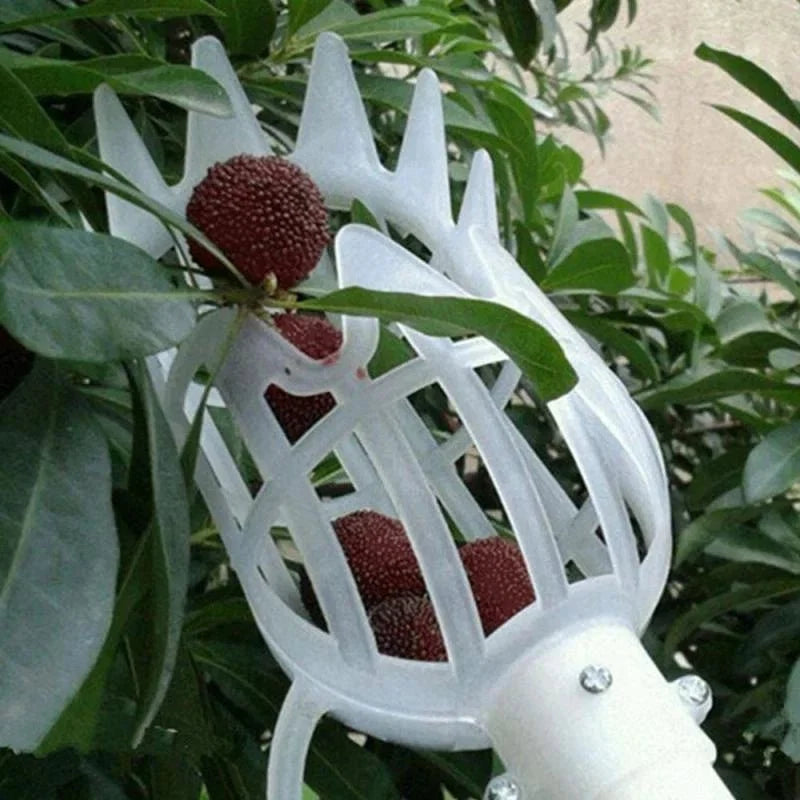 Plastic Fruit Picker Tool | Garden Harvesting Catcher Head for Trees and Orchards