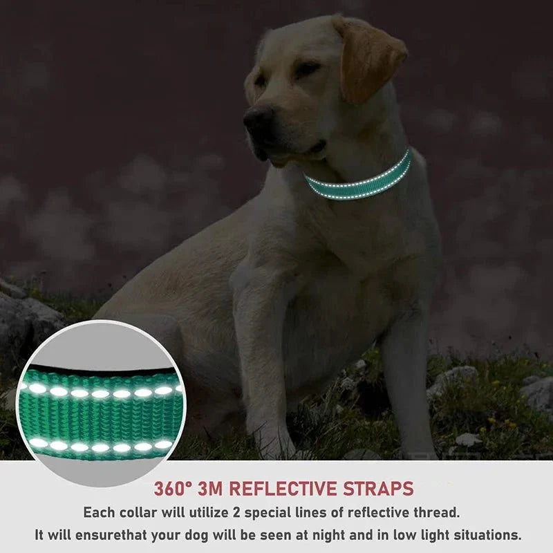 Reflective Nylon Dog Collar | Adjustable Safety Strap for Small and Medium Dogs