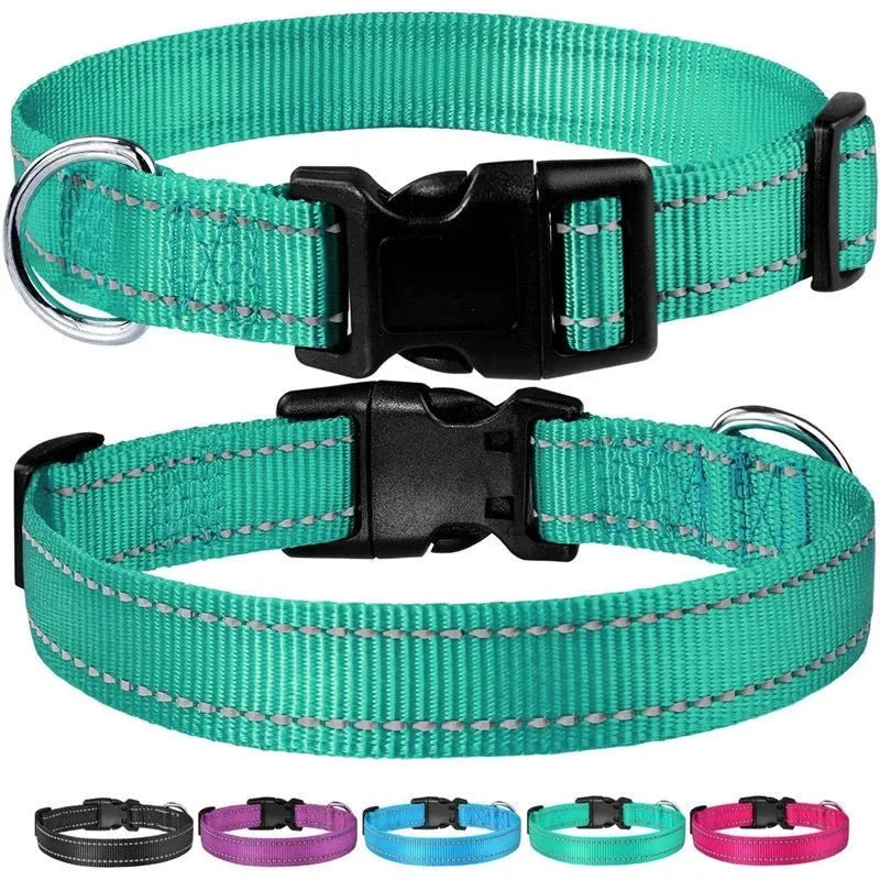 Reflective Nylon Dog Collar | Adjustable Safety Strap for Small and Medium Dogs