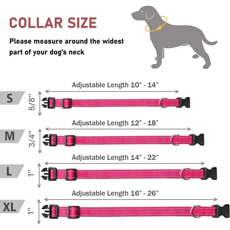 Reflective Nylon Dog Collar | Adjustable Safety Strap for Small and Medium Dogs