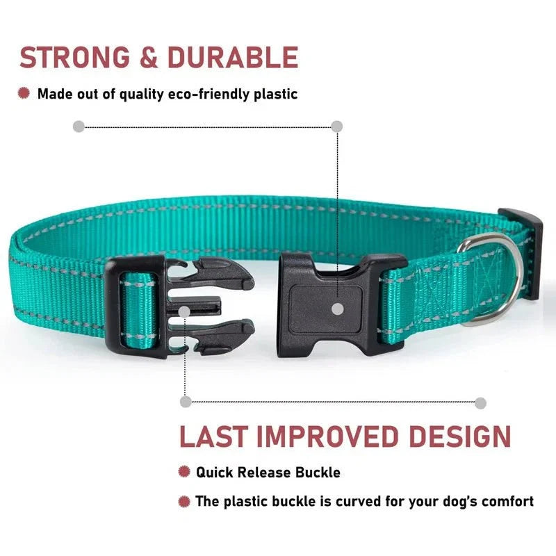 Reflective Nylon Dog Collar | Adjustable Safety Strap for Small and Medium Dogs