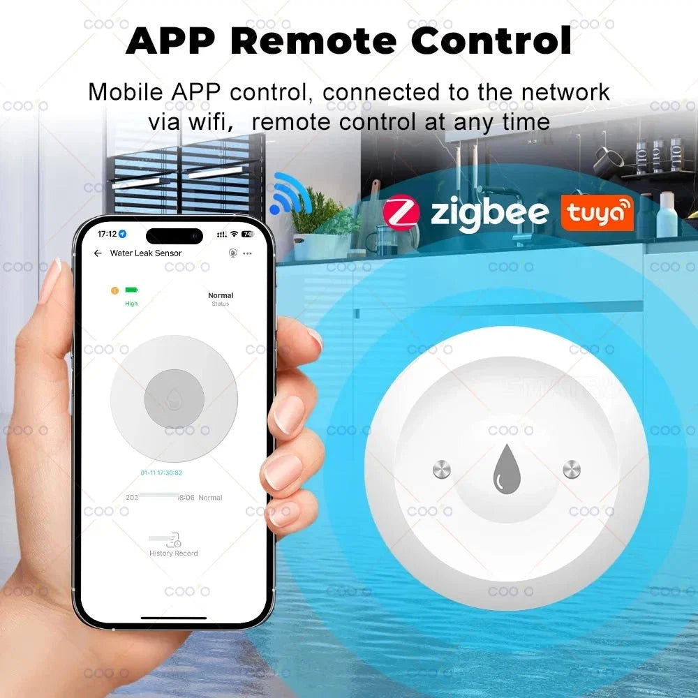 Smart Water Leak Sensor | Flood Detector with Remote Monitoring
